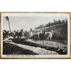 PERU LLAMAS EN AREQUIPA ANTIGUA TARJETA POSTAL